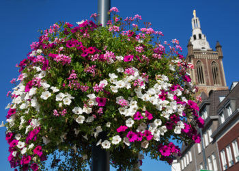 Flower Basket