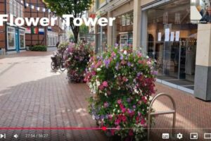 Flower and Shower Event