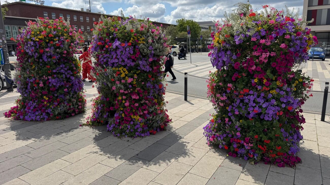 resize_IMG-20250723-WA0054 (002)